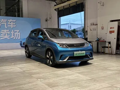 2021 BYD Dolphin 401km Knight Edition, фото 3, лот 10396760