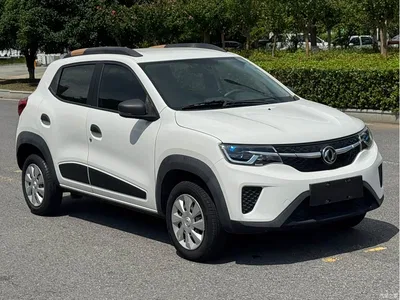 2022 Dongfeng Yipai Dongfeng Nano EX1 Premium Enjoyment Edition, фото 3, лот 10414847