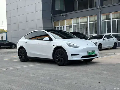 2023 Tesla Model Y Rear-Wheel Drive Edition, фото 3, лот 10455189