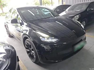 2022 Tesla Model Y Rear-Wheel Drive Version, фото 4, лот 10370610