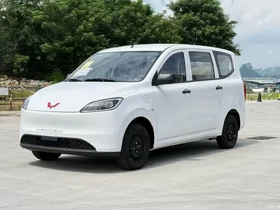 2024 Wuling Motors Wuling Hongguang New Energy Pure Electric 300KM Standard, фото 1, лот 11167498