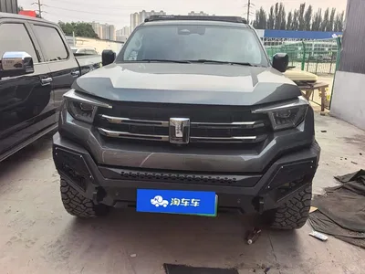 2024 Tank 400 New Energy Hi4-T Off-Road Edition, фото 2, лот 10845877