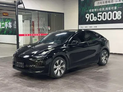 2021 Tesla Model Y Model Long Range AWD, фото 1, лот 11141612
