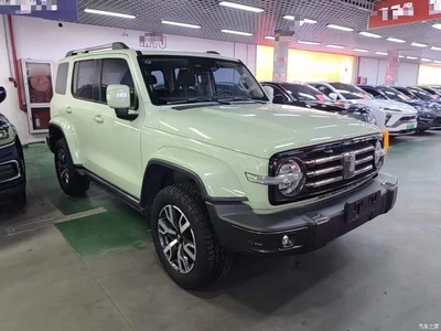 2021 Tank 300 Urban Edition 2.0T Stylish, фото 4, лот 10345423