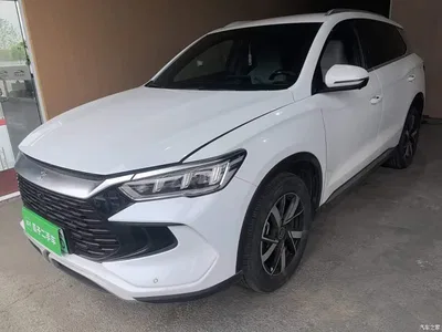 2024 BYD Song Pro New Energy Glory Edition DM-i 71KM Pilot, фото 2, лот 10272595