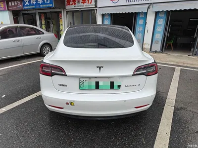 2019 Tesla Model 3 Standard Range Rear-Wheel Drive Upgrade, фото 3, лот 10383350
