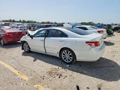 2011 LEXUS ES 350, фото 2, лот 10849461