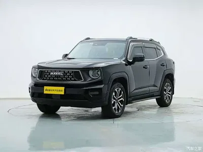 2023 Haval Da Gou 2nd Gen 2.0T AWD Wild Adventure Plus, фото 1, лот 10296040