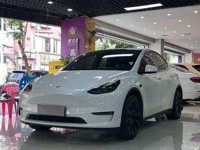 2022 Tesla Model Y Long Range AWD, фото 1, лот 11302168