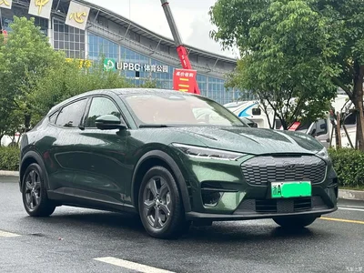 2021 Ford Mustang Mach-E Boundless RWD Edition (Long Range), фото 3, лот 11348447