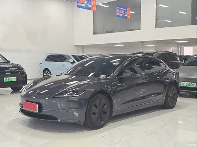 2023 Tesla Model 3 Rear-Wheel Drive, фото 1, лот 10366512