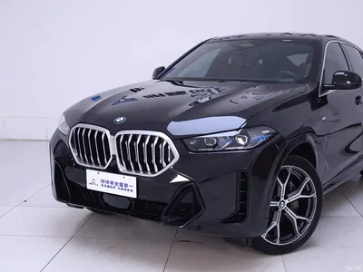 2023 BMW X6 xDrive40i M Sport Package, фото 3, лот 10763703