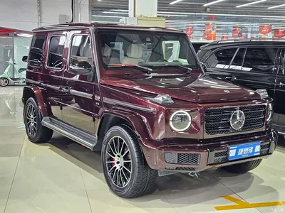 2019 Mercedes-Benz G-Class G 500, фото 3, лот 10260532