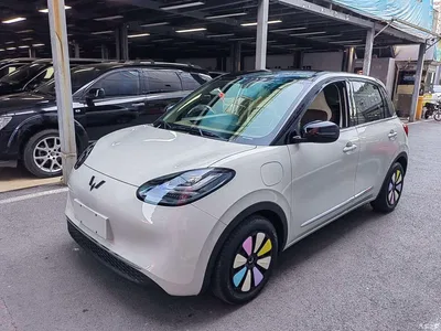 2024 Wuling Motors Wuling Bingo 333km Comfort Edition, фото 1, лот 10367142
