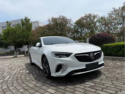 2017 Buick Regal GS 28T Luxury Model, фото 3, лот 10253726