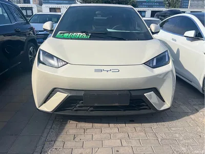 2024 BYD Seagull Glory Edition 305km Vitality Edition, фото 2, лот 10404177