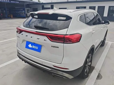 2023 Haval H6 National Trend Edition 1.5T Automatic Champion, фото 3, лот 10298161