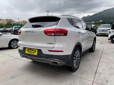 2020 Haval H6 1.5GDIT Automatic Platinum Champion Edition, фото 3, лот 10298560