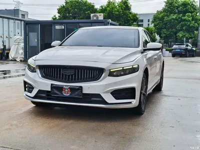 2021 Geely Xing Rui 2.0TD Luxury, фото 1, лот 10359884