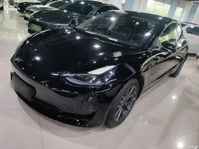 2021 Tesla Model 3 Standard Range Rear-Wheel Drive Upgrade, фото 1, лот 10370785