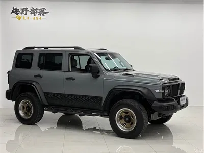 2021 Tank 300 Off-road Version 2.0T Conqueror, фото 3, лот 10344508