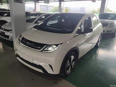 2023 BYD Dolphin 420km Fashion Edition, фото 2, лот 10671070