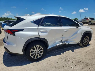 2019 LEXUS NX 300 BASE, фото 3, лот 10901859
