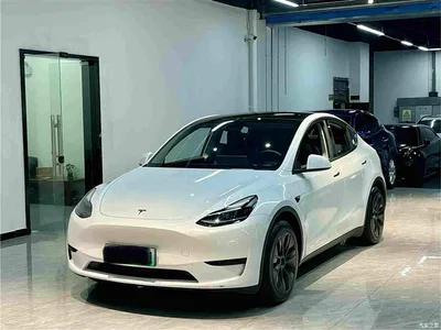 2024 Tesla Model Y Rear-Wheel Drive Version, фото 1, лот 10696748
