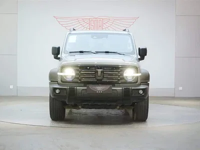2024 Tank 300 2.0T Conqueror, фото 4, лот 10343997
