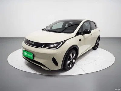 2025 BYD Dolphin Smart Drive Edition 410km Fashion Version, фото 1, лот 10260503