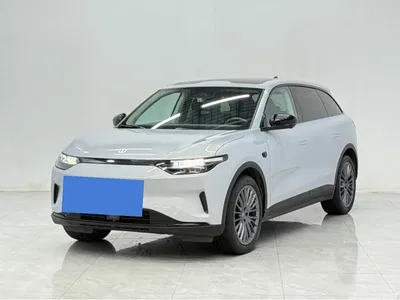 2023 Leapmotor C11 Pure Electric 500 Comfort Edition, фото 1, лот 10827954