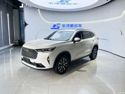 2024 Haval H6 Model 1.5T 2WD Classic Edition, фото 1, лот 11219936