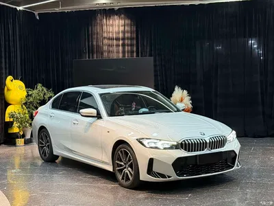 2023 BMW 3 Series 320Li M Sport Package, фото 3, лот 10570847