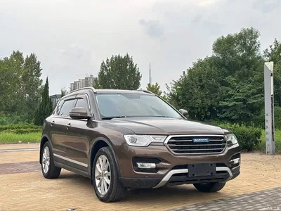 2016 Haval H7 Blue Label H7 2.0T Automatic Luxury, фото 3, лот 11219142