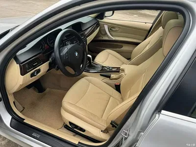 2010 BMW 3 Series (Import) 320i Luxury, фото 4, лот 10770965
