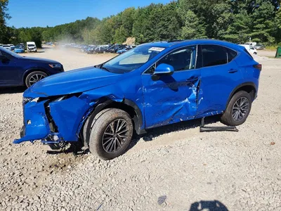 2023 LEXUS NX 350, фото 1, лот 10848757