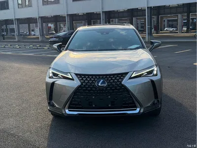 2020 Lexus UX Electric 300e Pure Enjoyment Edition, фото 2, лот 10405423