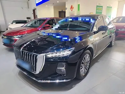 2024 Hongqi H5 2.0T Automatic Smart Connect Flag Enjoy Edition, фото 2, лот 10390733