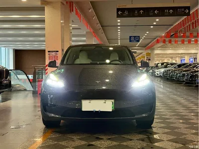 2024 Tesla Model Y Rear-Wheel Drive Version, фото 2, лот 11544271