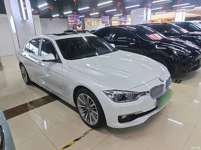 2019 BMW 3 Series 320Li Fashion Type, фото 4, лот 10457346