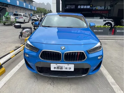 2019 BMW X2 (Import) sDrive20i M Off-Road Package China VI, фото 3, лот 11248524
