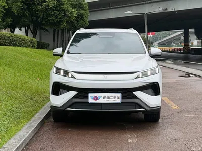2026 BYD Song Pro New Energy, фото 2, лот 11178762