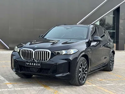 2023 BMW X5 xDrive 40Li M Sport Black Night Package, фото 4, лот 10462980
