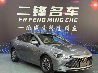 2024 BYD Qin PLUS Glory Edition DM-i 55KM Leading, фото 3, лот 10364296