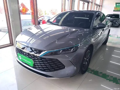 2024 BYD Qin L DM-i 80KM Superior, фото 1, лот 10266083