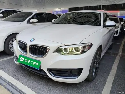 2018 BMW 2 Series (Import) 220i Sport Design Package, фото 2, лот 11089512