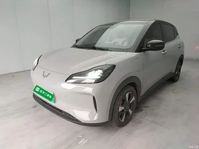 2024 Wuling Motors Wuling Binguo PLUS Model 510km Flagship Edition 4-Seater, фото 1, лот 10833788