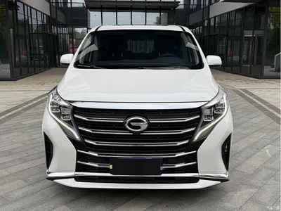 2021 GAC Trumpchi Trumpchi M8 Leading Show Series 390T Premium Edition, фото 2, лот 11011410