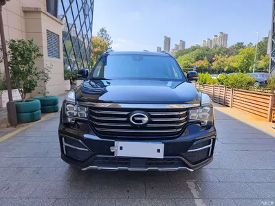 2020 GAC Trumpchi Trumpchi GS8 390T AWD Luxury Smart Connect Anniversary Edition (7-Seater), фото 3, лот 10396120