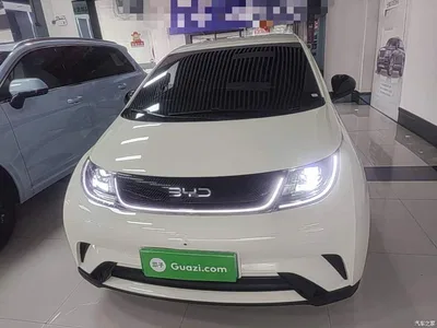 2025 BYD Dolphin 420km Freedom Edition, фото 3, лот 10263946